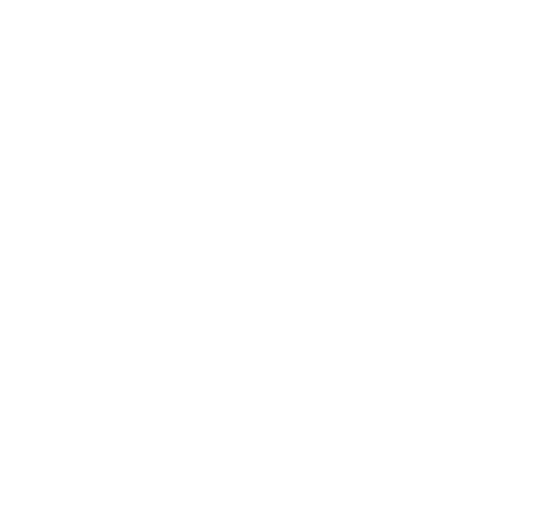 NEXLVLBBQ logo